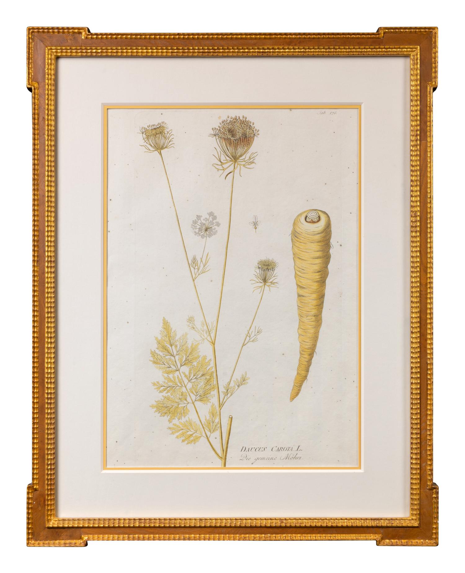 A Set of Four Framed Hand-Colored Botanical Engravings
