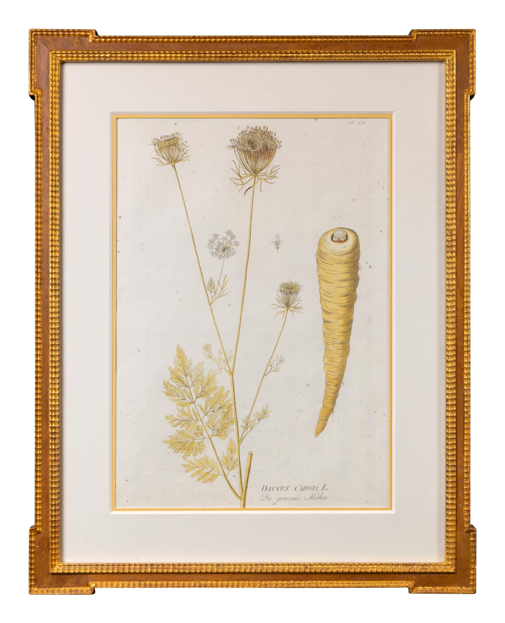 A Set of Four Framed Hand-Colored Botanical Engravings