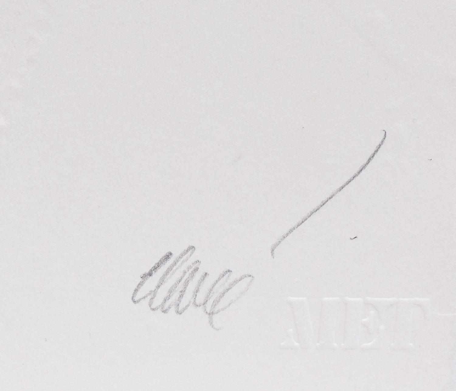 Metropolitan Opera Fine Art, the complete portfolio with the original linen folio case