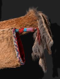 Comanche Mountain Lion Bowcase and Quiver