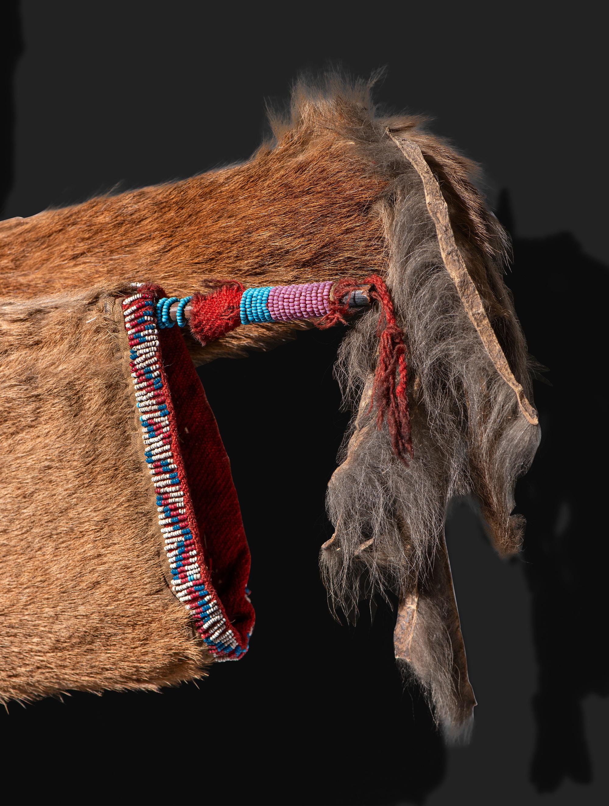 Comanche Mountain Lion Bowcase and Quiver