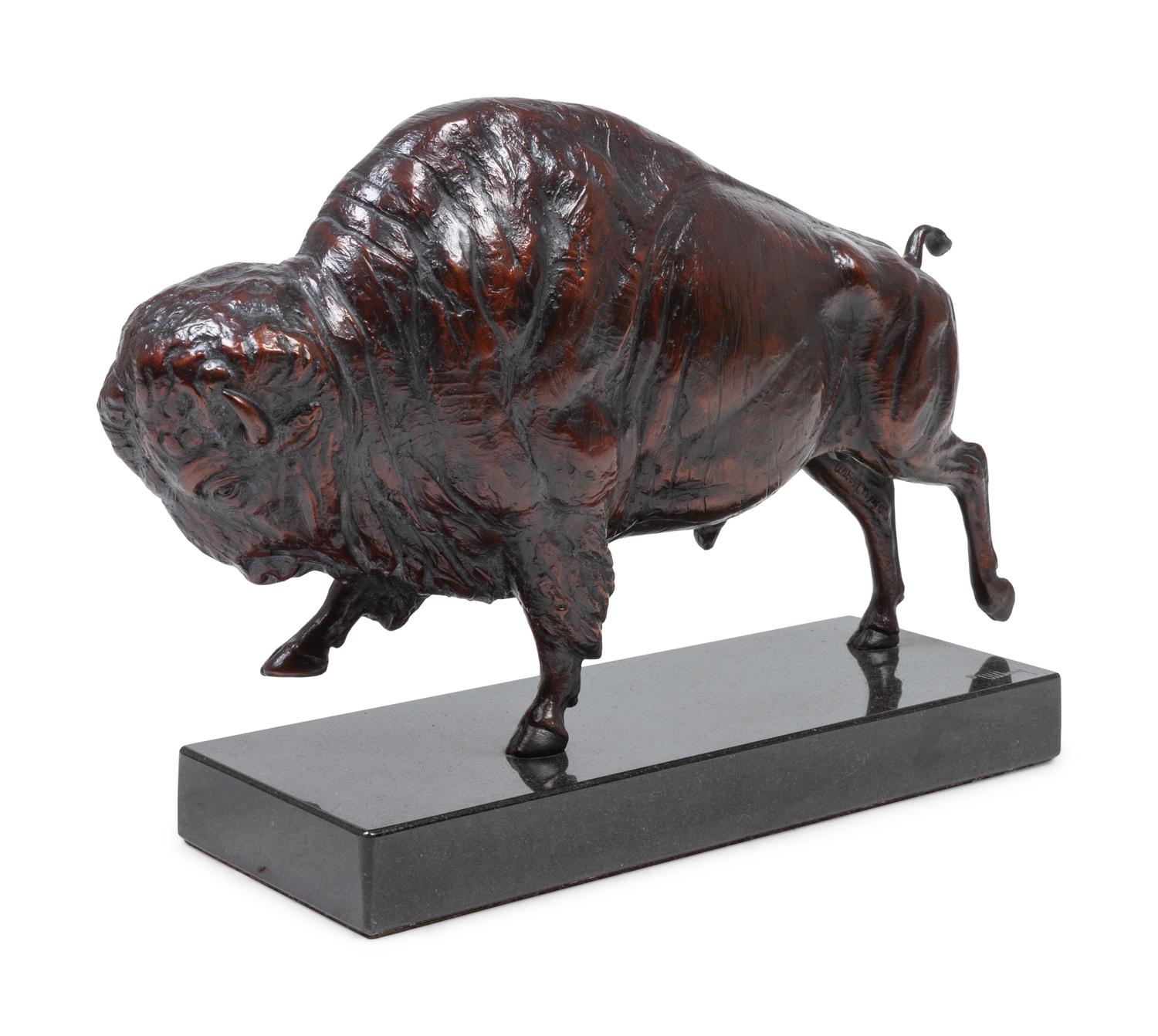 Bison Study, edition 14/50