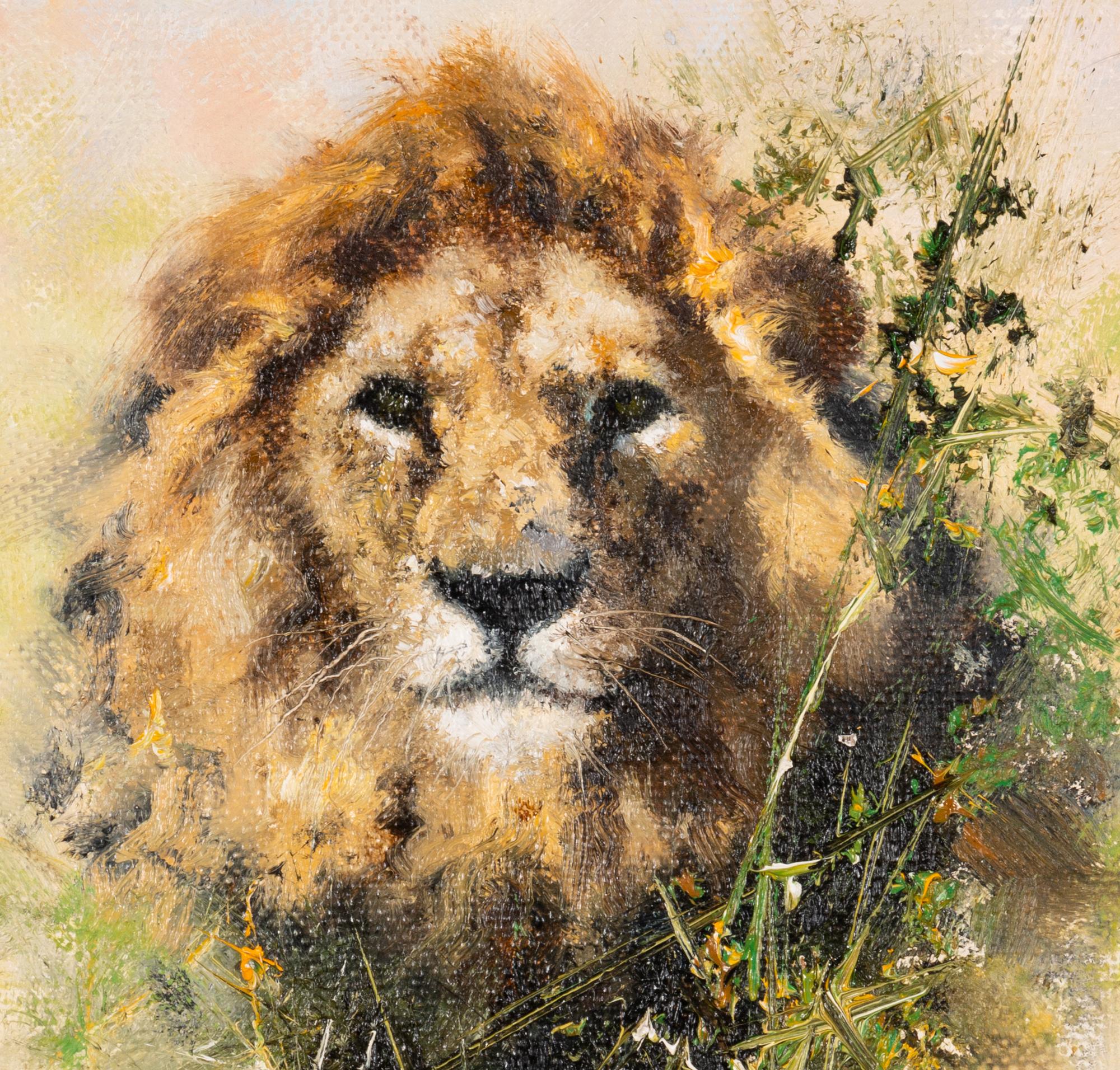 Lion