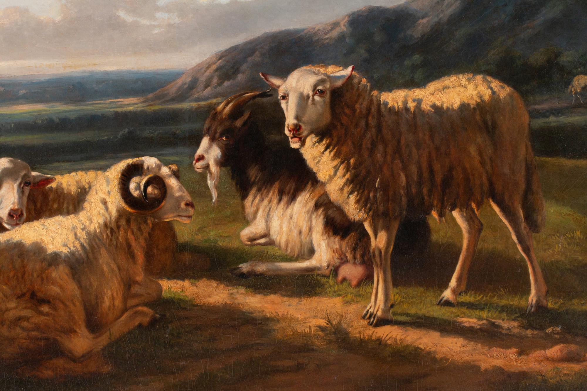 Landscape with Sheep