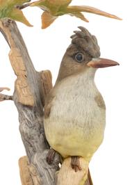 A Boehm Porcelain Crested Flycatcher Group