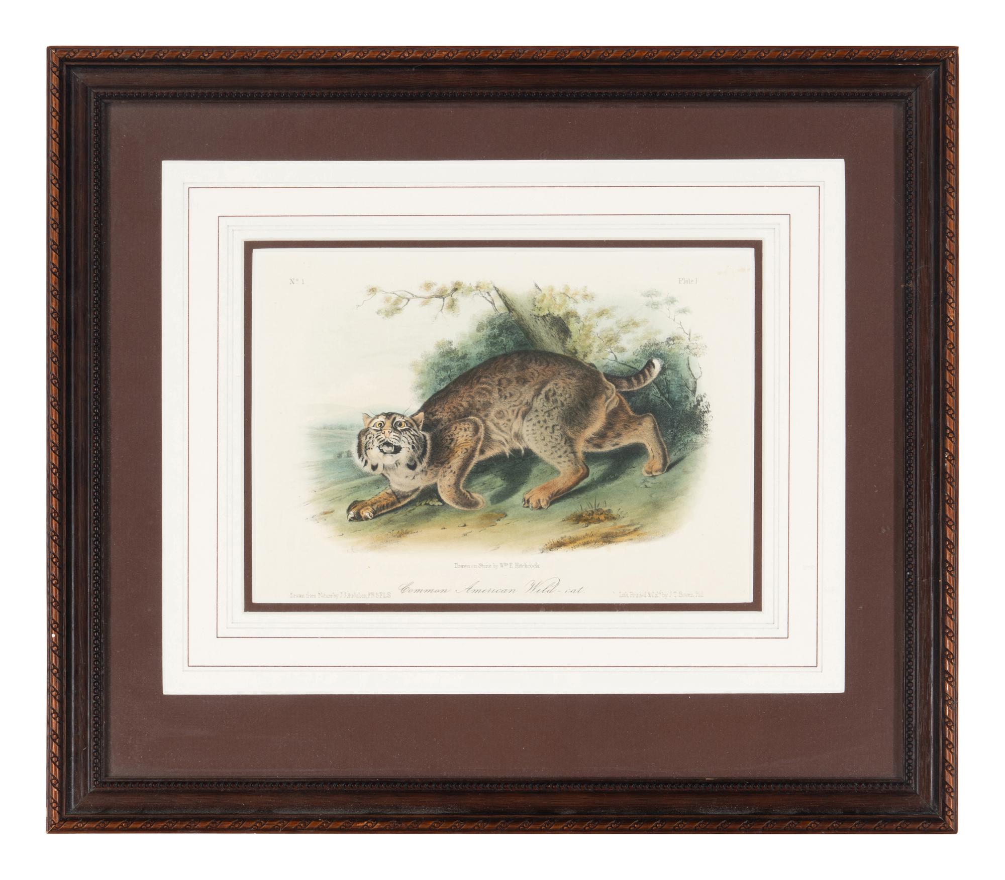 [Prints] Audubon, John James Group of 6 Lithographs from the Quadrupeds of America
