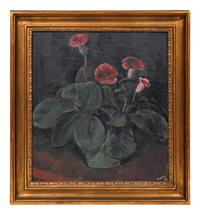Nasturtiums