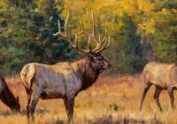 Autumn in the Rockies