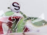 A Paul Stankard Red Flower Glass Paperweight