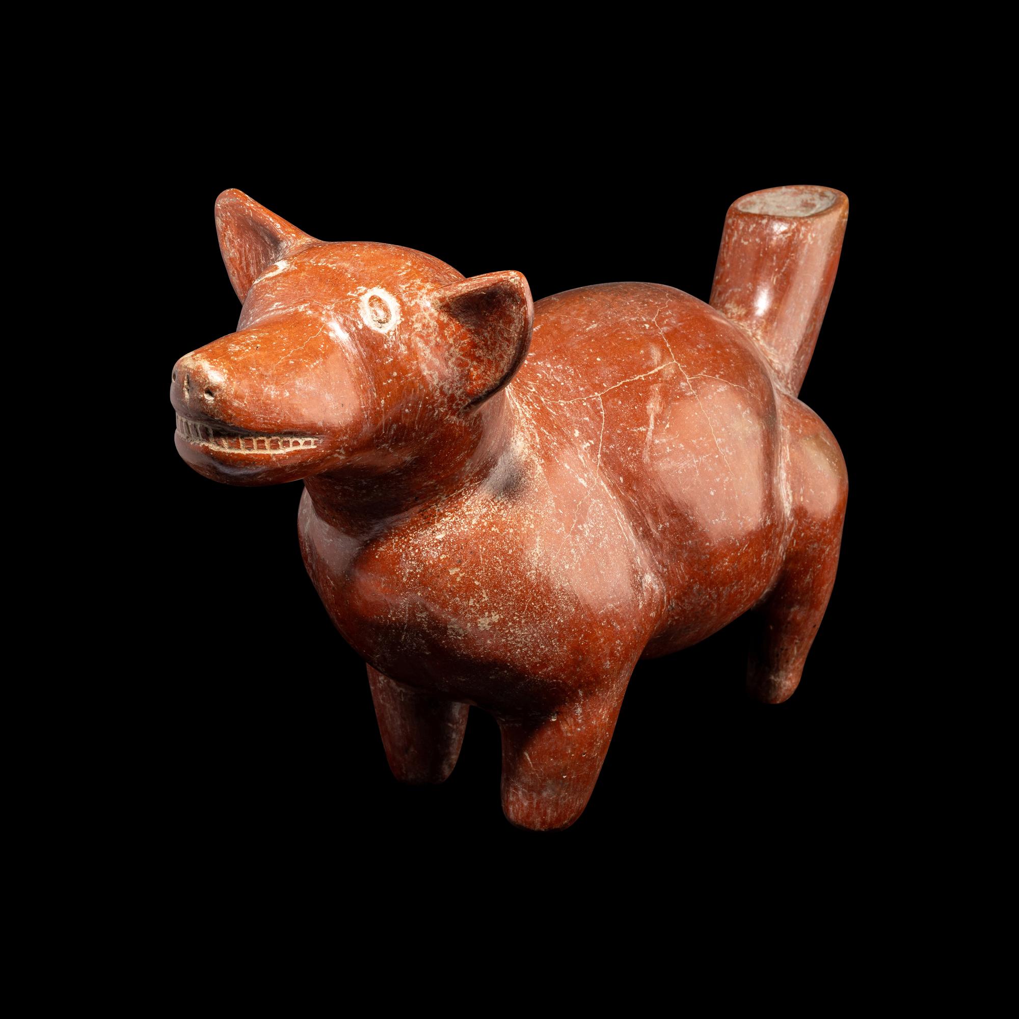 A Colima Dog Effigy Vessel