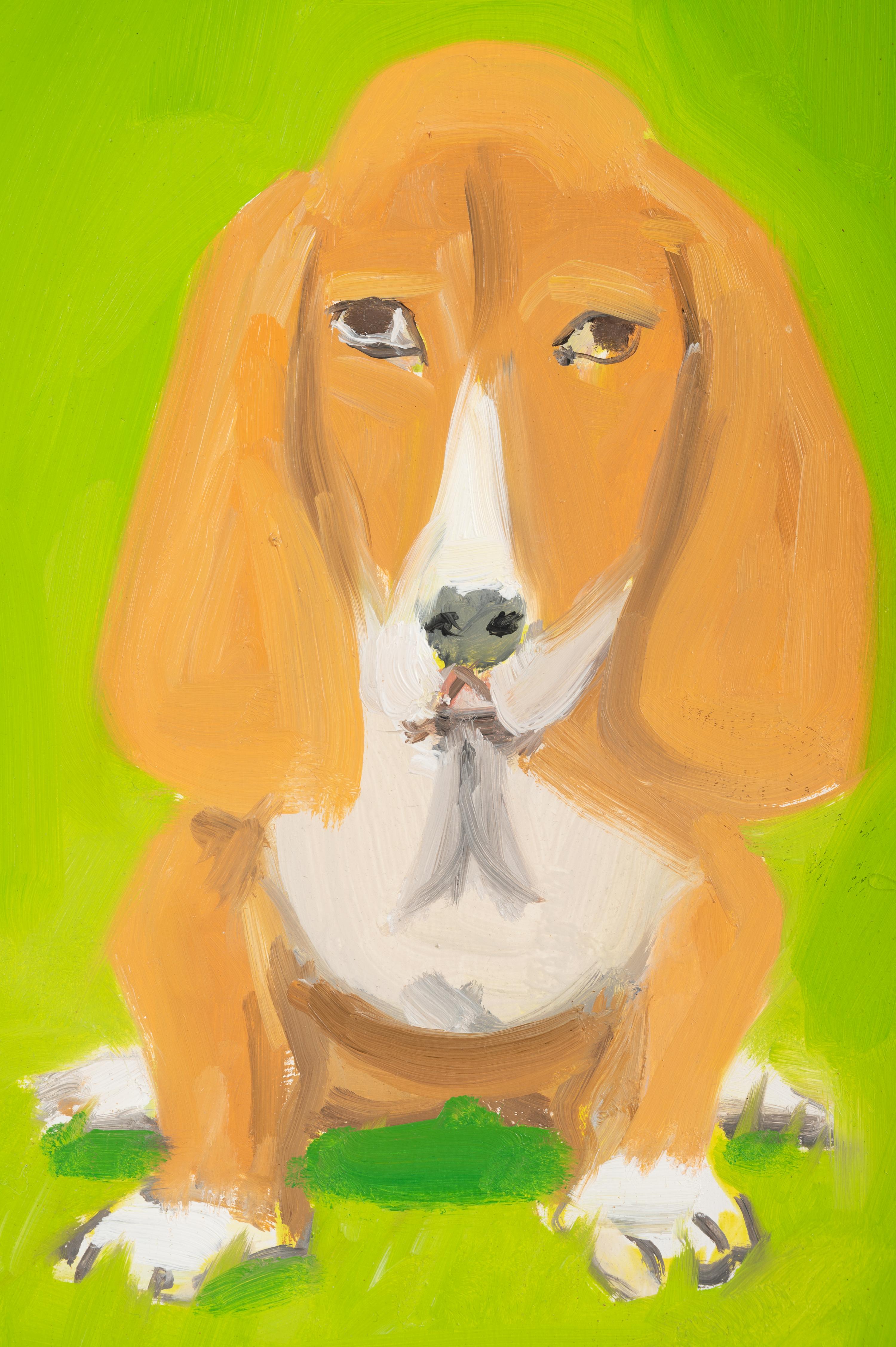 Dog