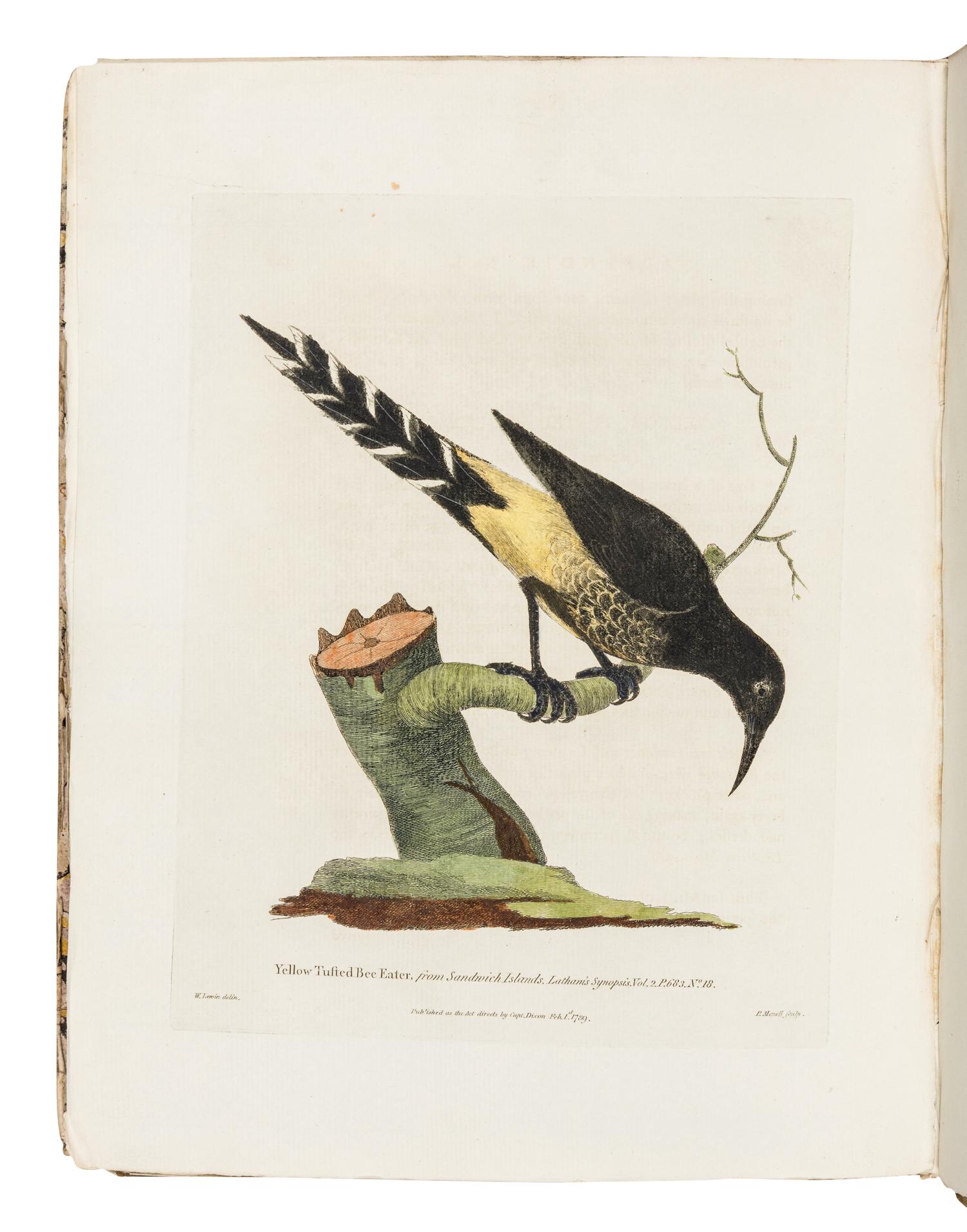 DIXON, Captain George (1748-1795) and Nathaniel PORTLOCK (1748-1817). A Voyage Round the World; but More Particularly to the North-West Coast of America:... 1785...1788, in the King George and Queen Charlotte, Captains Portlock and Dixon . London: Geo. Goulding, 1789.