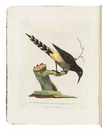 DIXON, Captain George (1748-1795) and Nathaniel PORTLOCK (1748-1817). A Voyage Round the World; but More Particularly to the North-West Coast of America:... 1785...1788, in the King George and Queen Charlotte, Captains Portlock and Dixon . London: Geo. Goulding, 1789.