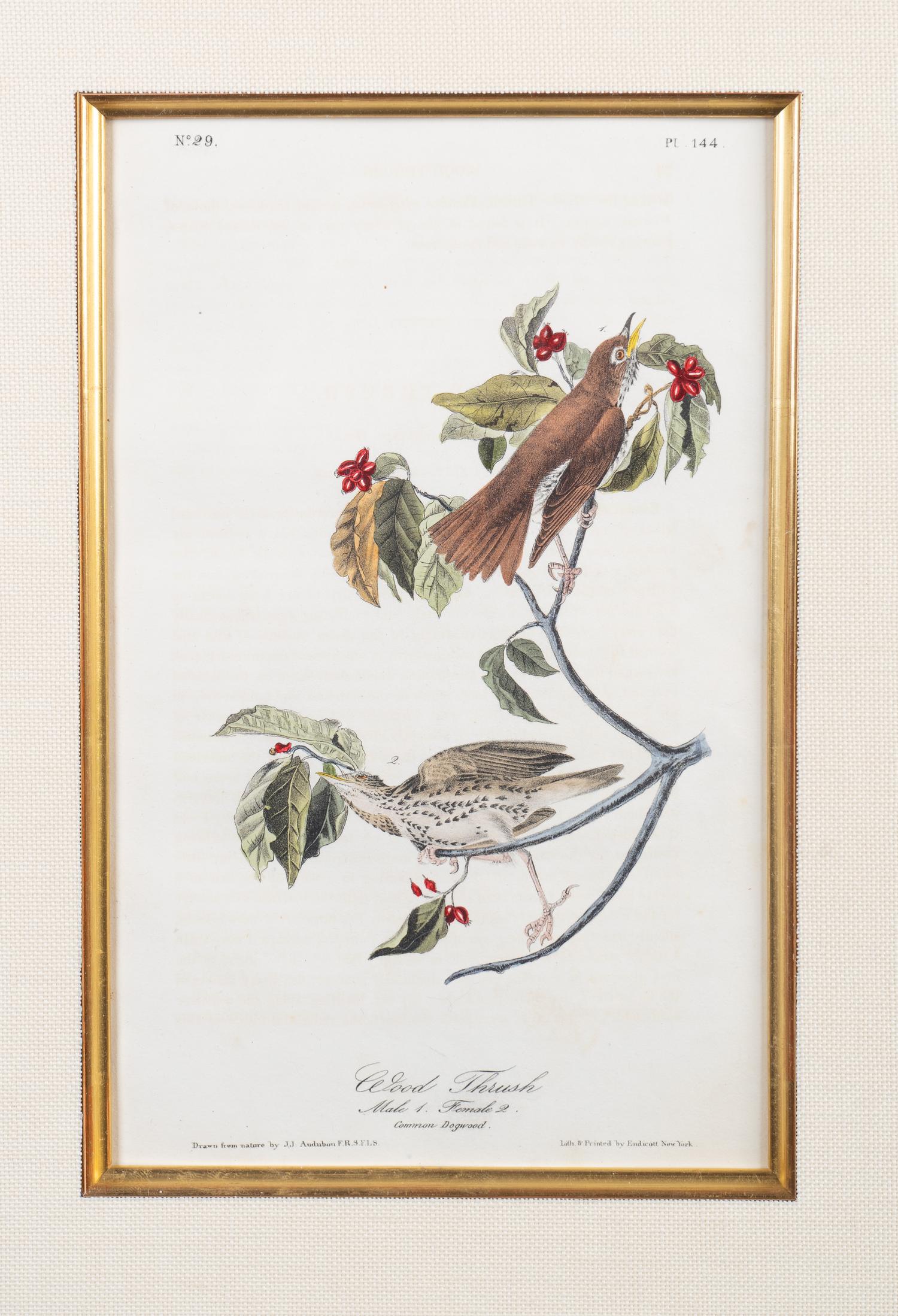 The Birds of America, Royal Octavo Edition, Bowen Edition