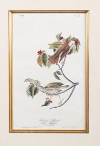 The Birds of America, Royal Octavo Edition, Bowen Edition
