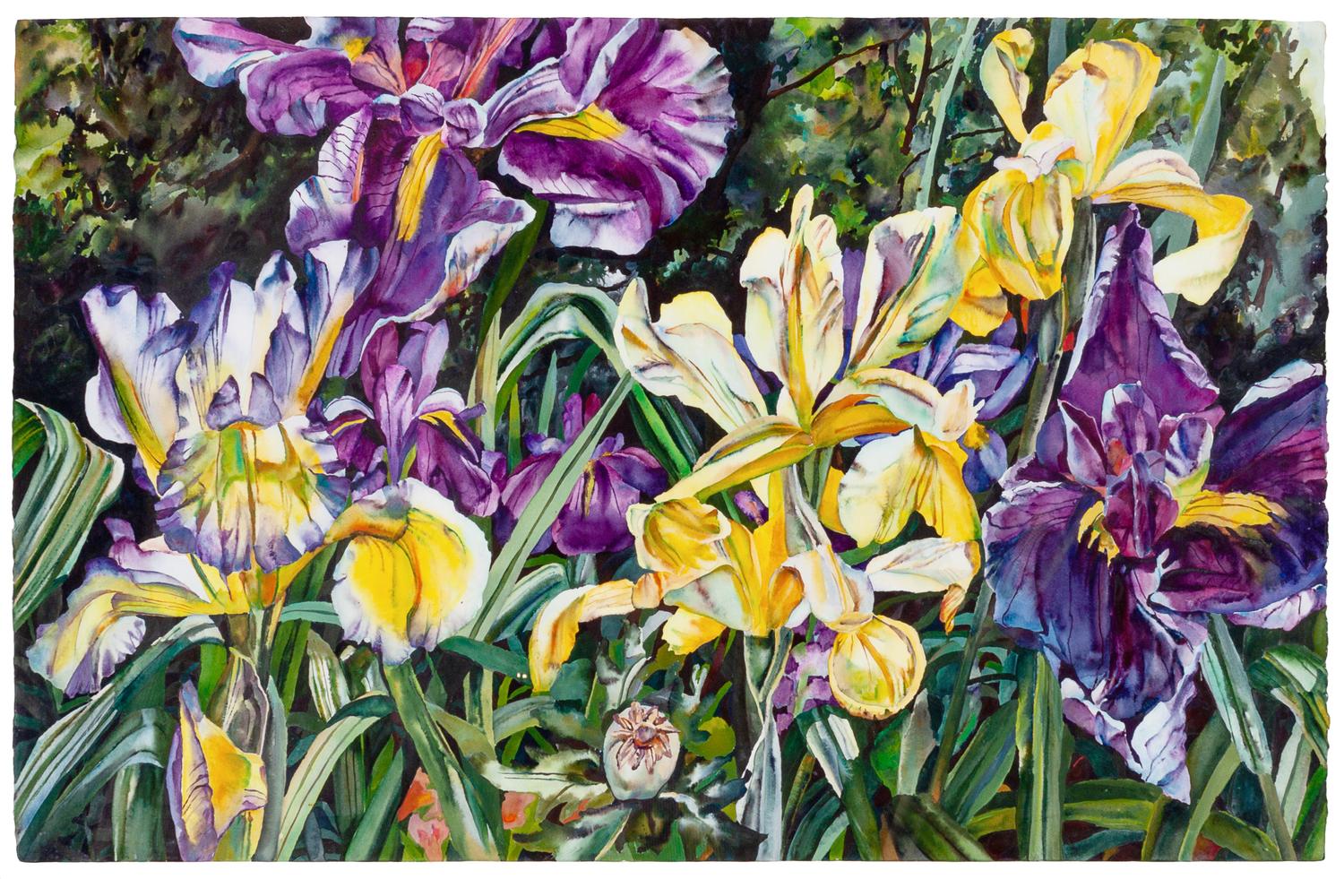 Denise's Garden