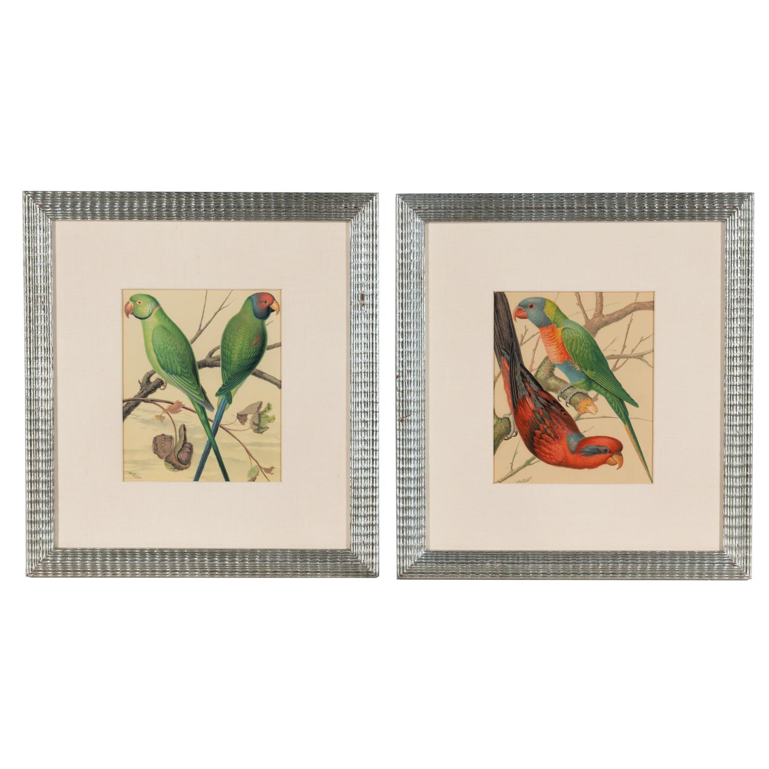 The Illustrated Book of Canaries and Cage-Birds, British and Foreign Cassell & Co., Limited: Six Plates
