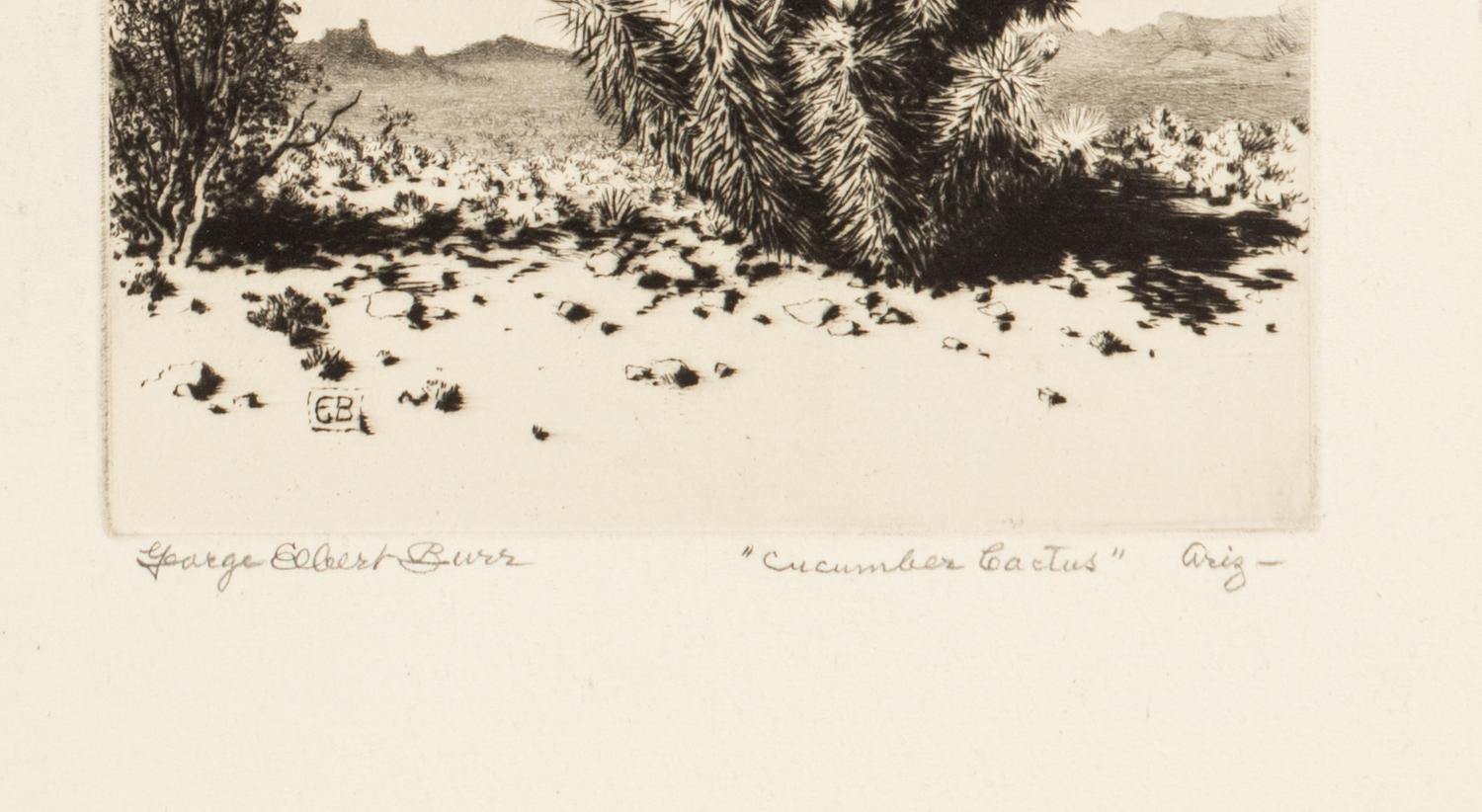 Two Works: Cucumber Cactus and Joshua Trees