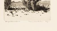 Two Works: Cucumber Cactus and Joshua Trees
