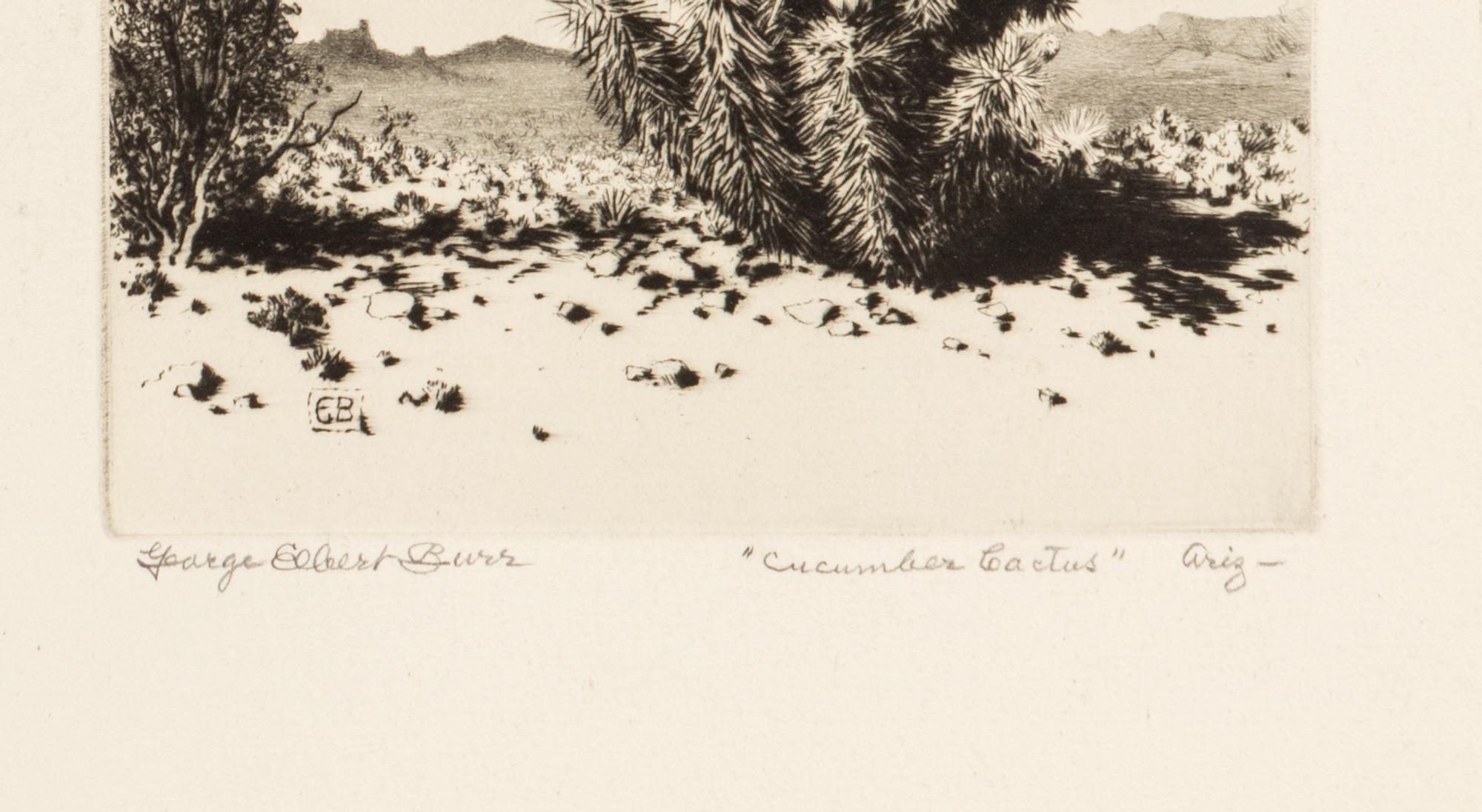 Two Works: Cucumber Cactus and Joshua Trees