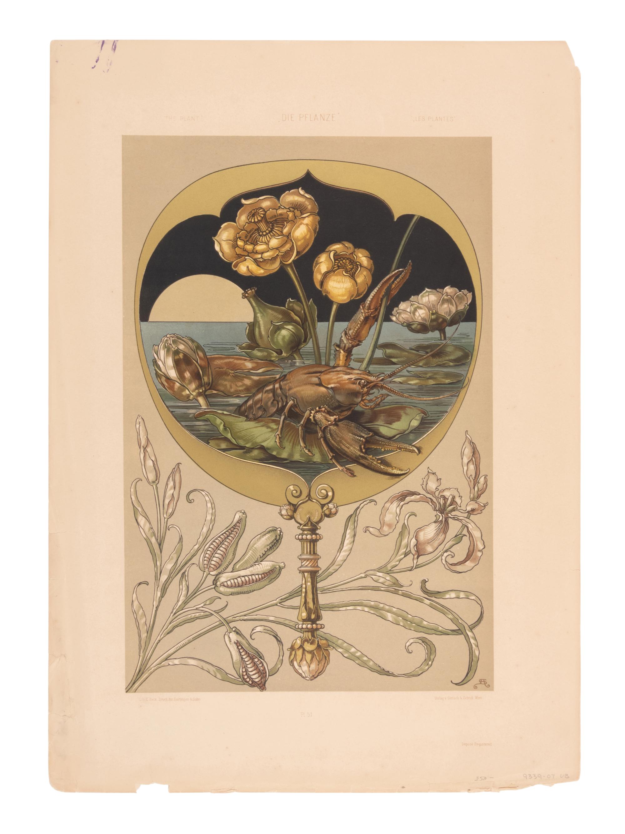 SEDER, Anton. Die Pflanze. Vienna: Gerlach & Schenk, ca 1890.