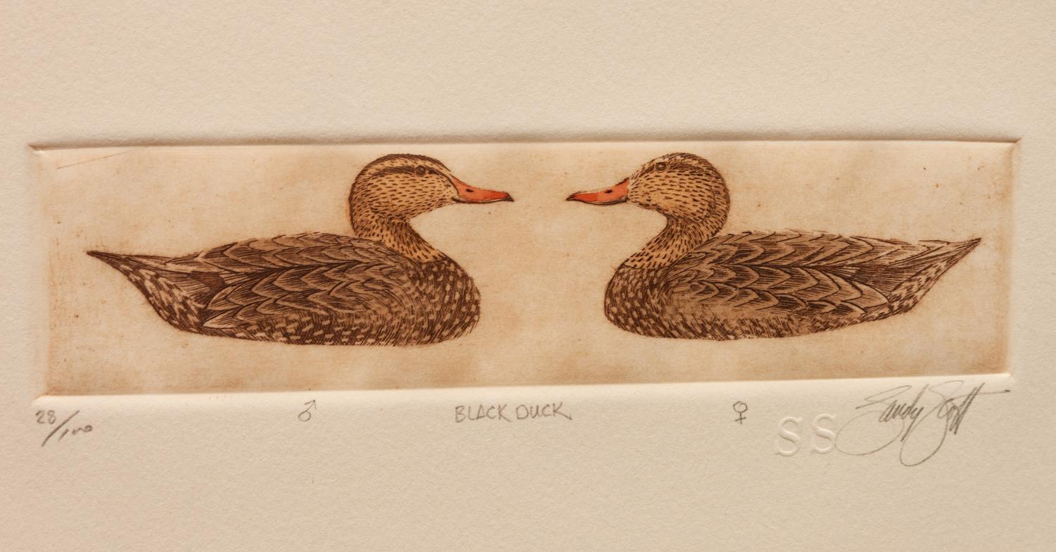 Six Framed Prints, in Four Frames: Green-Winged Teal, Artist's Proof; Goldeneye & Bluebill Decoys, edition 34/100; Black Duck, edition 28/100; together in one frame: Redhead , edition 17/100; Bluebill , edition 10/100; Pintail , Artist's Proof