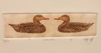 Six Framed Prints, in Four Frames: Green-Winged Teal, Artist's Proof; Goldeneye & Bluebill Decoys, edition 34/100; Black Duck, edition 28/100; together in one frame: Redhead , edition 17/100; Bluebill , edition 10/100; Pintail , Artist's Proof