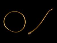 Two Greek Gold Implements