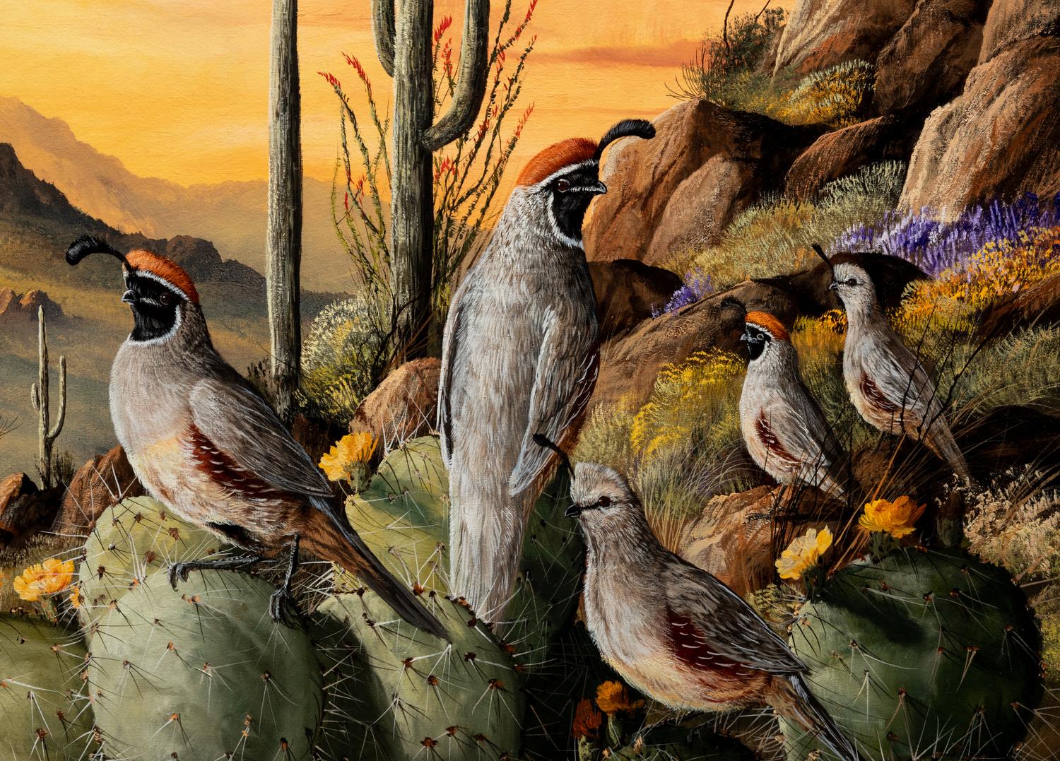 Birds in Desert