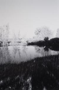 A group of three landscapes