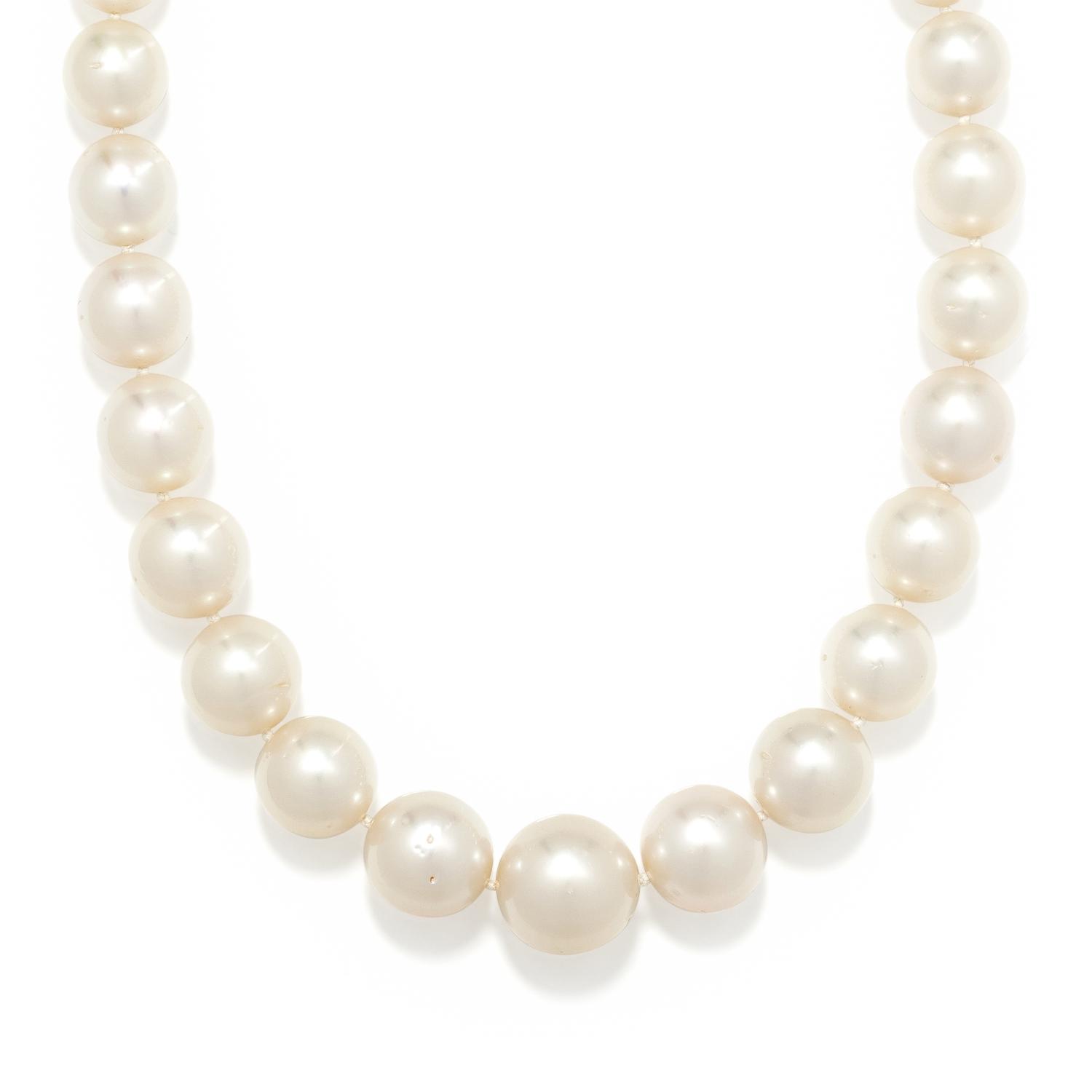 CULTURED SOUTH SEA PEARL NECKLACE