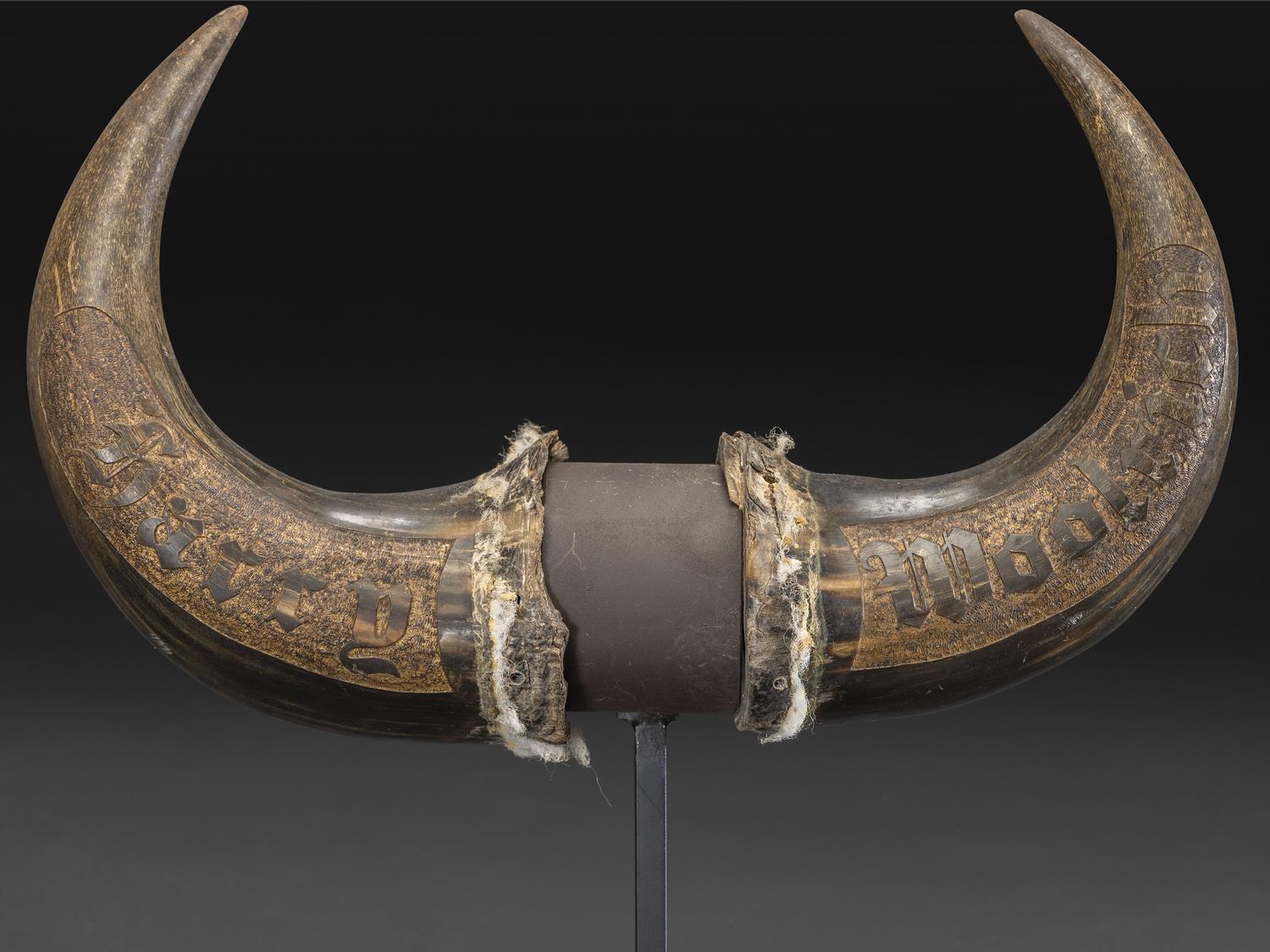 A Pair of Montana Prisoner Folk Art Carved Bison Horns