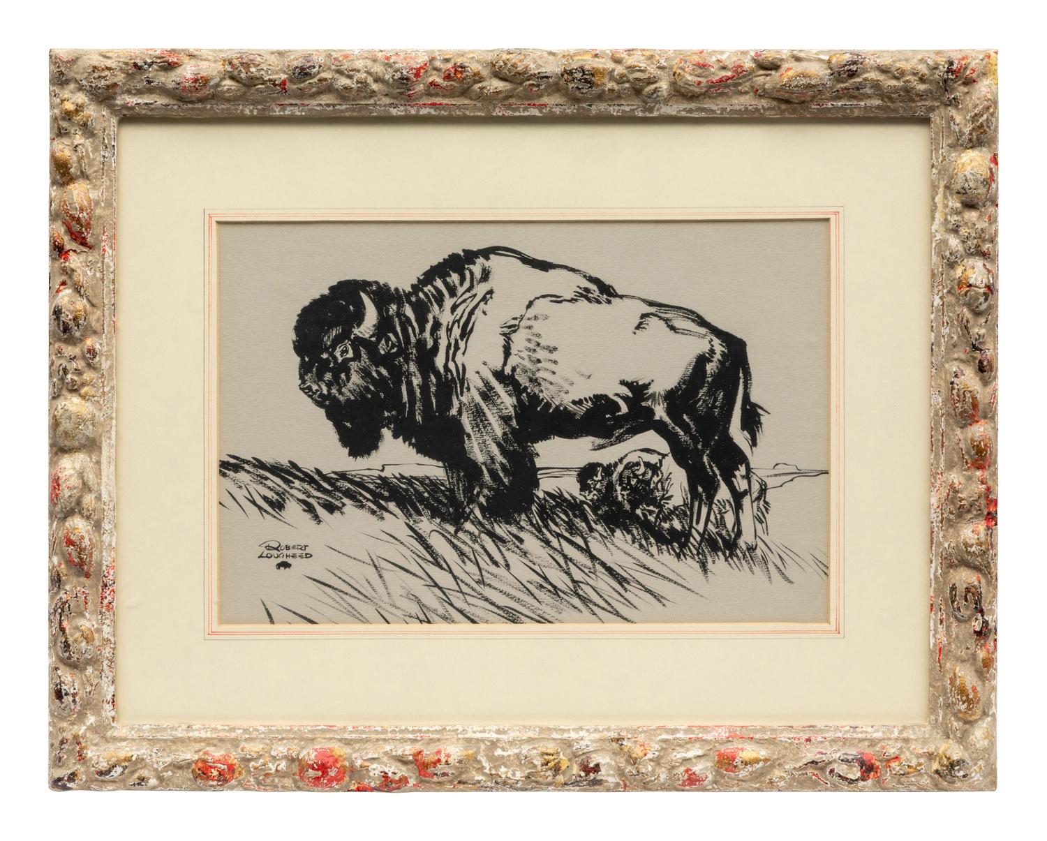 Grassland Buffalo