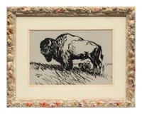 Grassland Buffalo