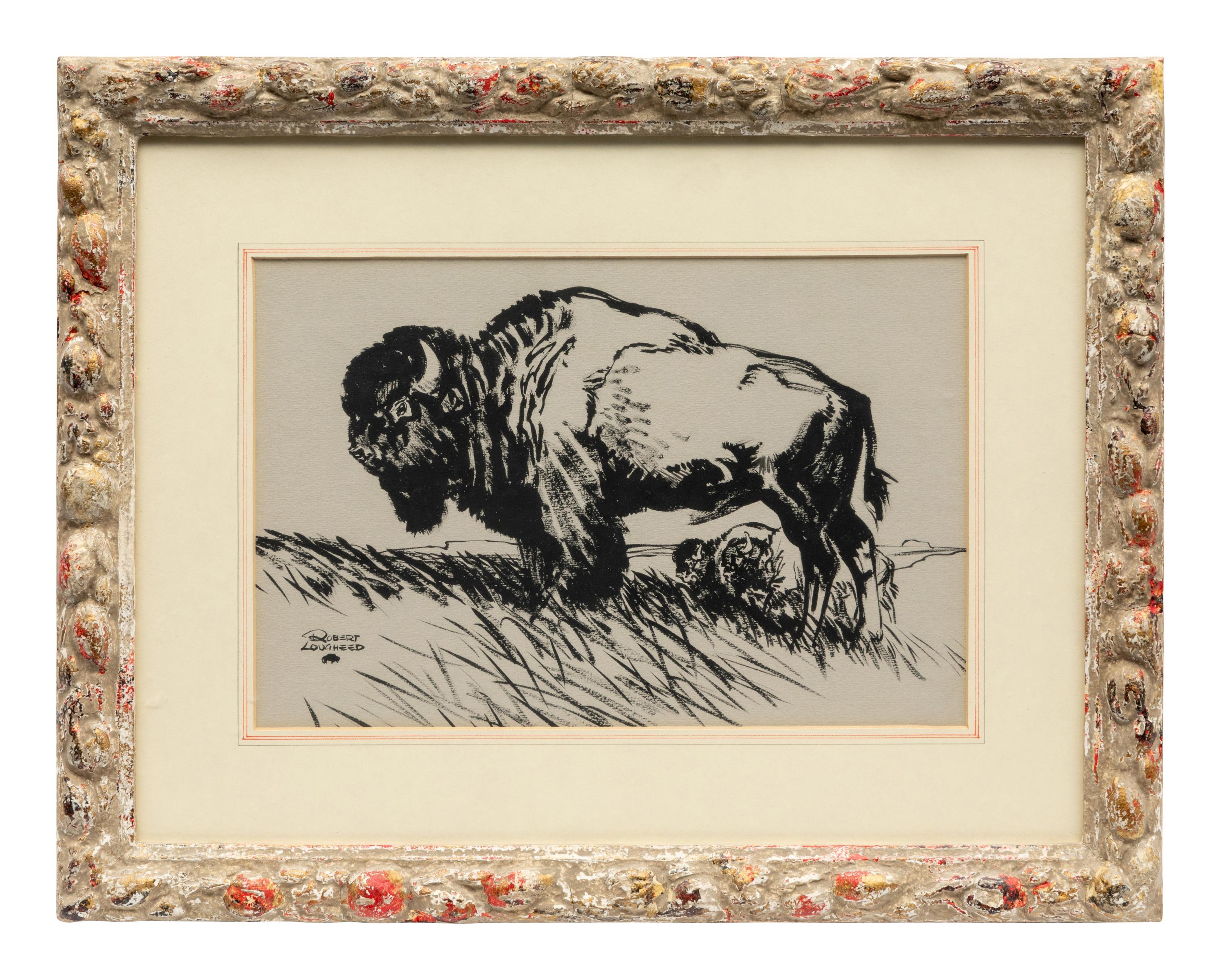 Grassland Buffalo