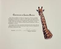World of Wildlife Paintings