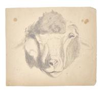 Farm Animal Studies: F older of Eighteen (18) Pencil Drawings