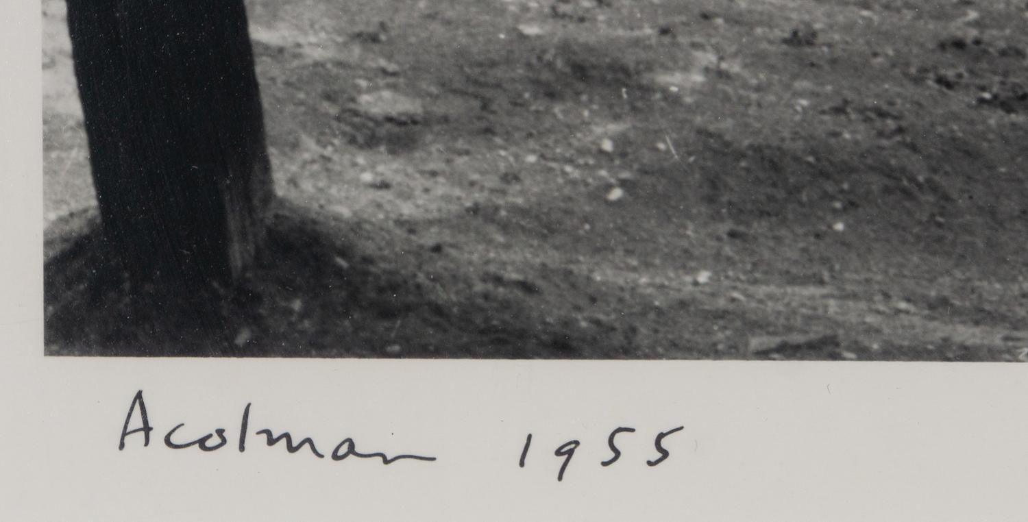 Acolman , Martha's Vineyard , and Durango 8 (three works)