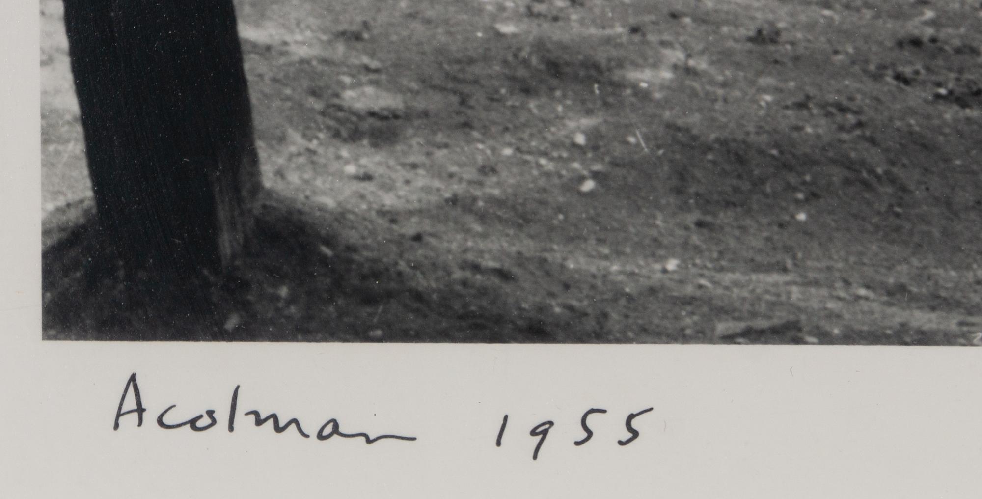 Acolman , Martha's Vineyard , and Durango 8 (three works)
