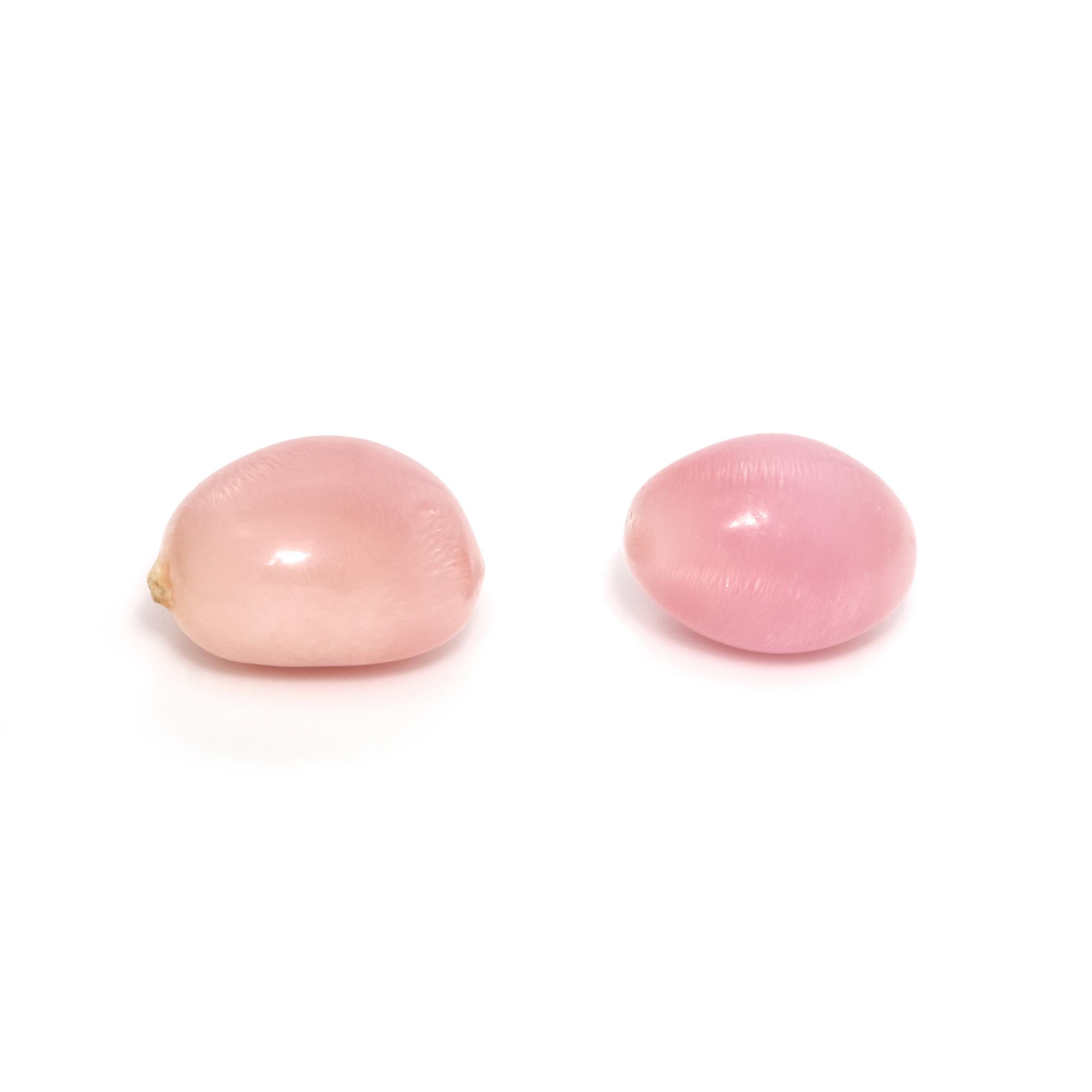 COLLECTION OF CONCH PEARLS