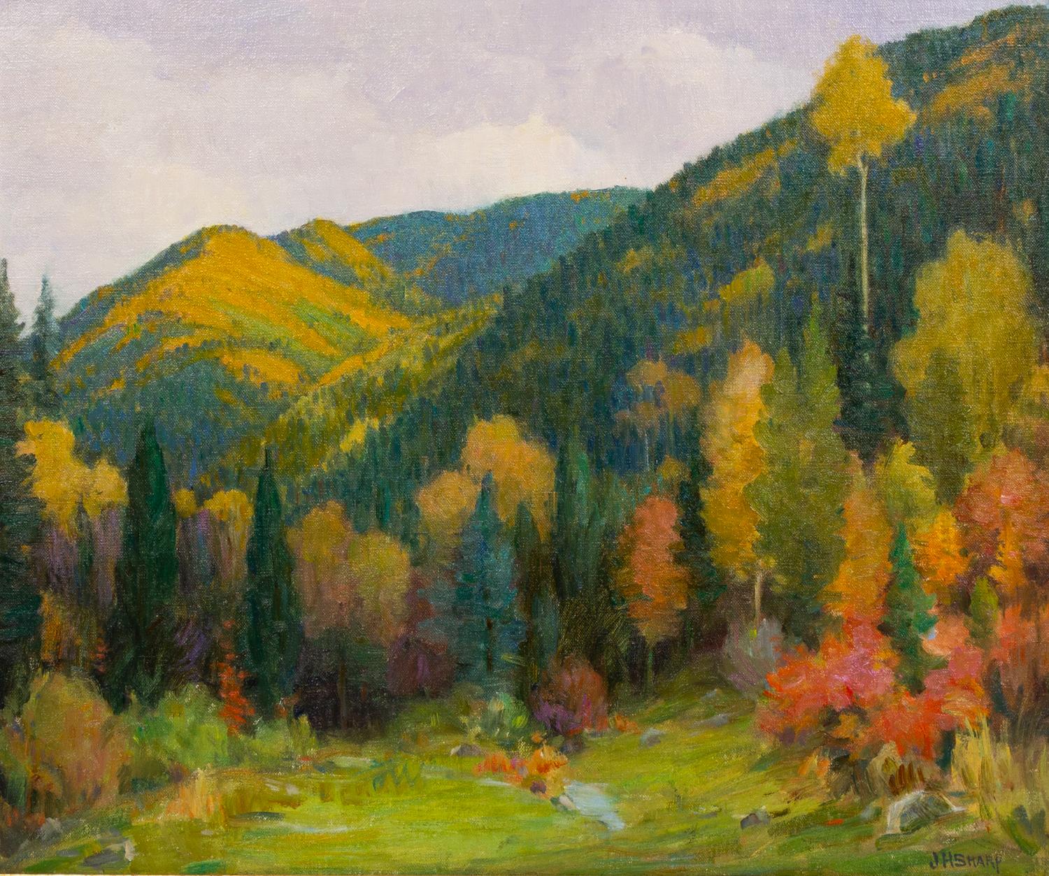 Aspens on Gray Day, South Fork - Hondo Canyon