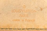 Louis Vuitton Pégase Rolling Suitcase