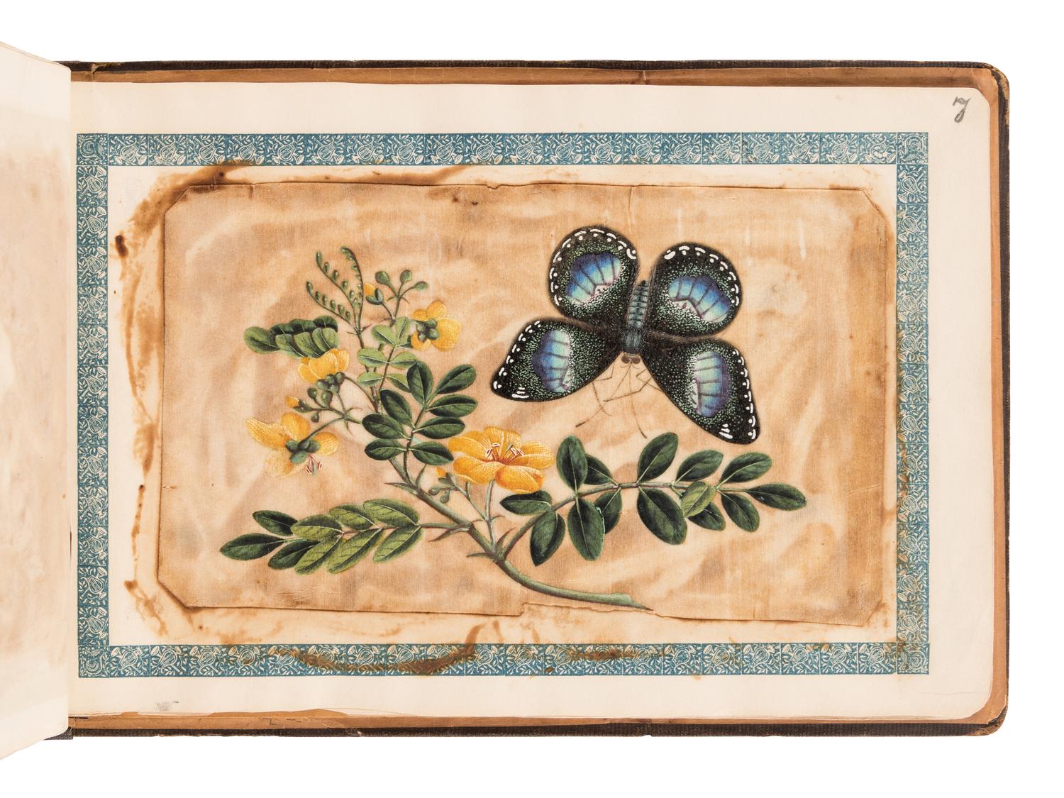 [ALBUM - CHINESE SCHOOL]. Album containing 10 ink and color drawings on pith paper, ca 1860s.
