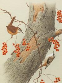 Group of Nine Works, American Bird Series, 1988