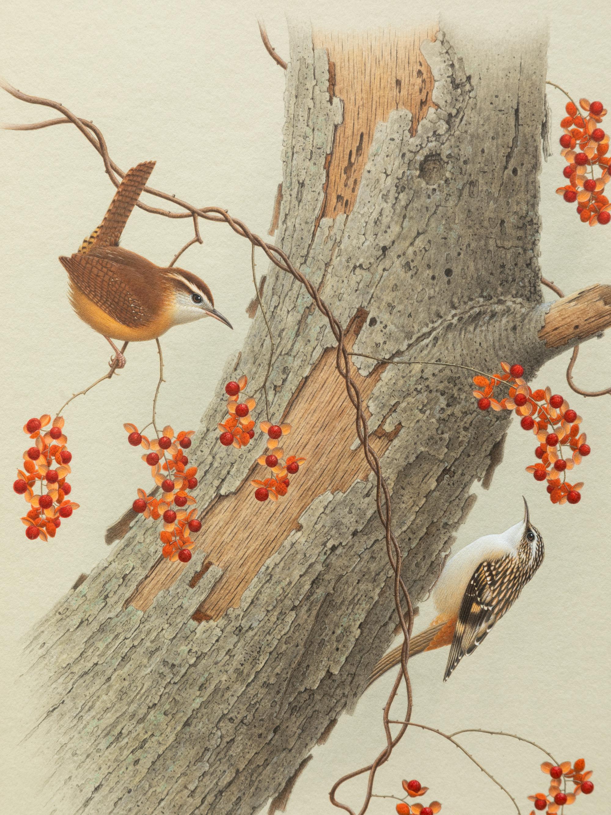 Group of Nine Works, American Bird Series, 1988