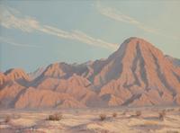 A Touch of Spring - Indio Mountain