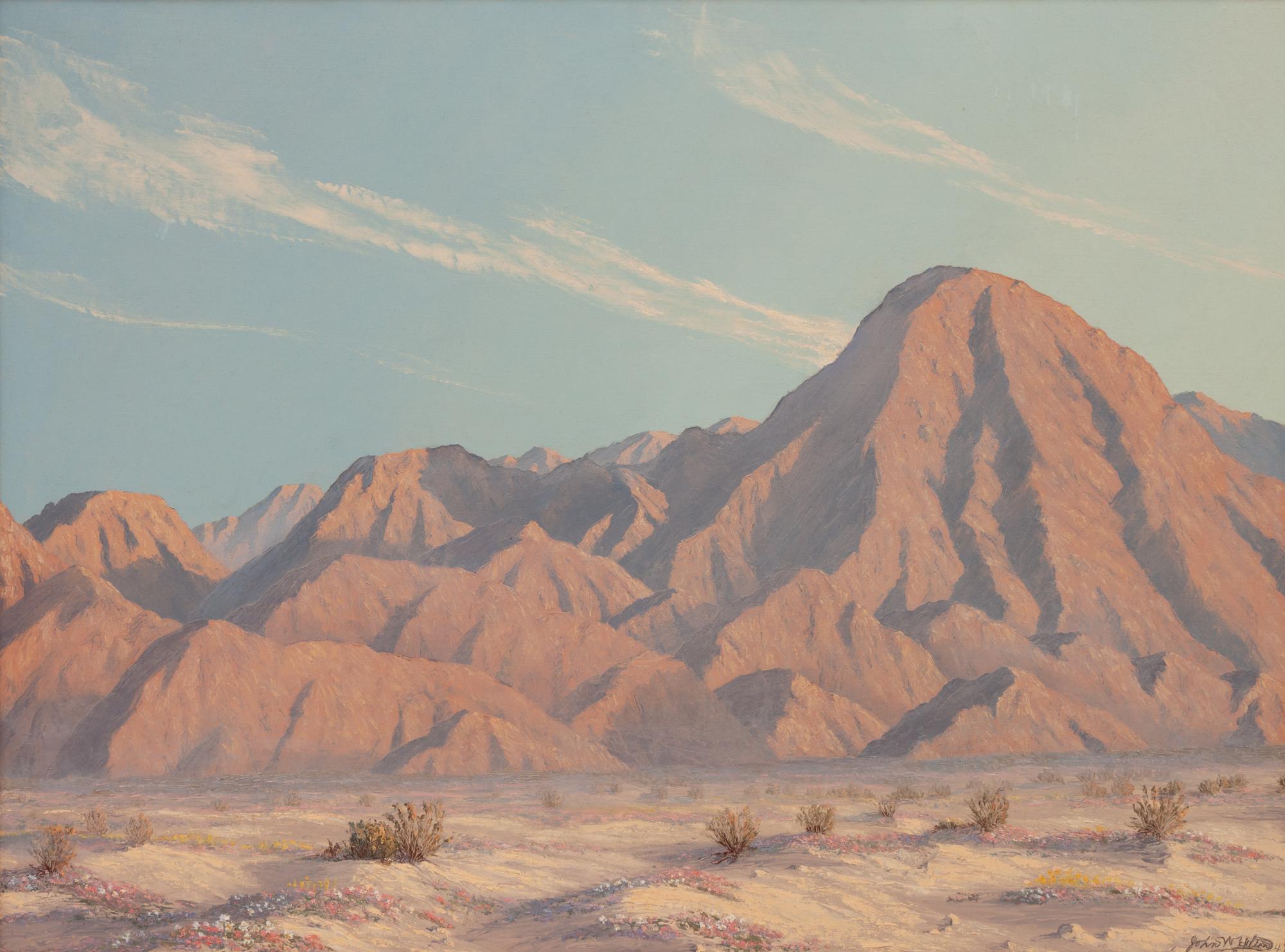 A Touch of Spring - Indio Mountain