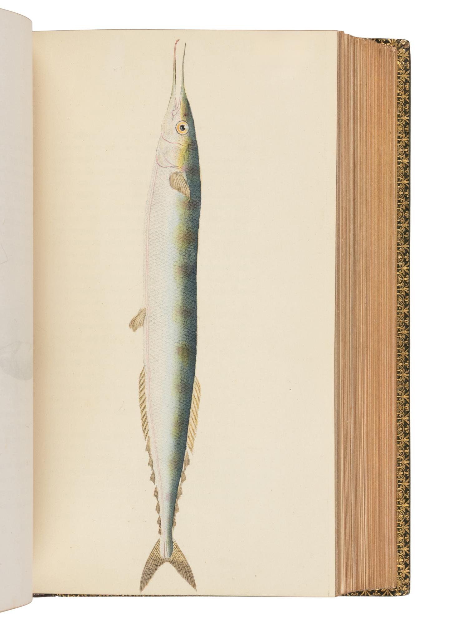 WALTON, Izaak (1593-1683) and Charles COTTON (1630-1687). The Complete Angler, or The Contemplative Man's Recreation . John Major, editor. London: D. Bogue and H. Wix, 1844.
