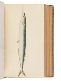 WALTON, Izaak (1593-1683) and Charles COTTON (1630-1687). The Complete Angler, or The Contemplative Man's Recreation . John Major, editor. London: D. Bogue and H. Wix, 1844.