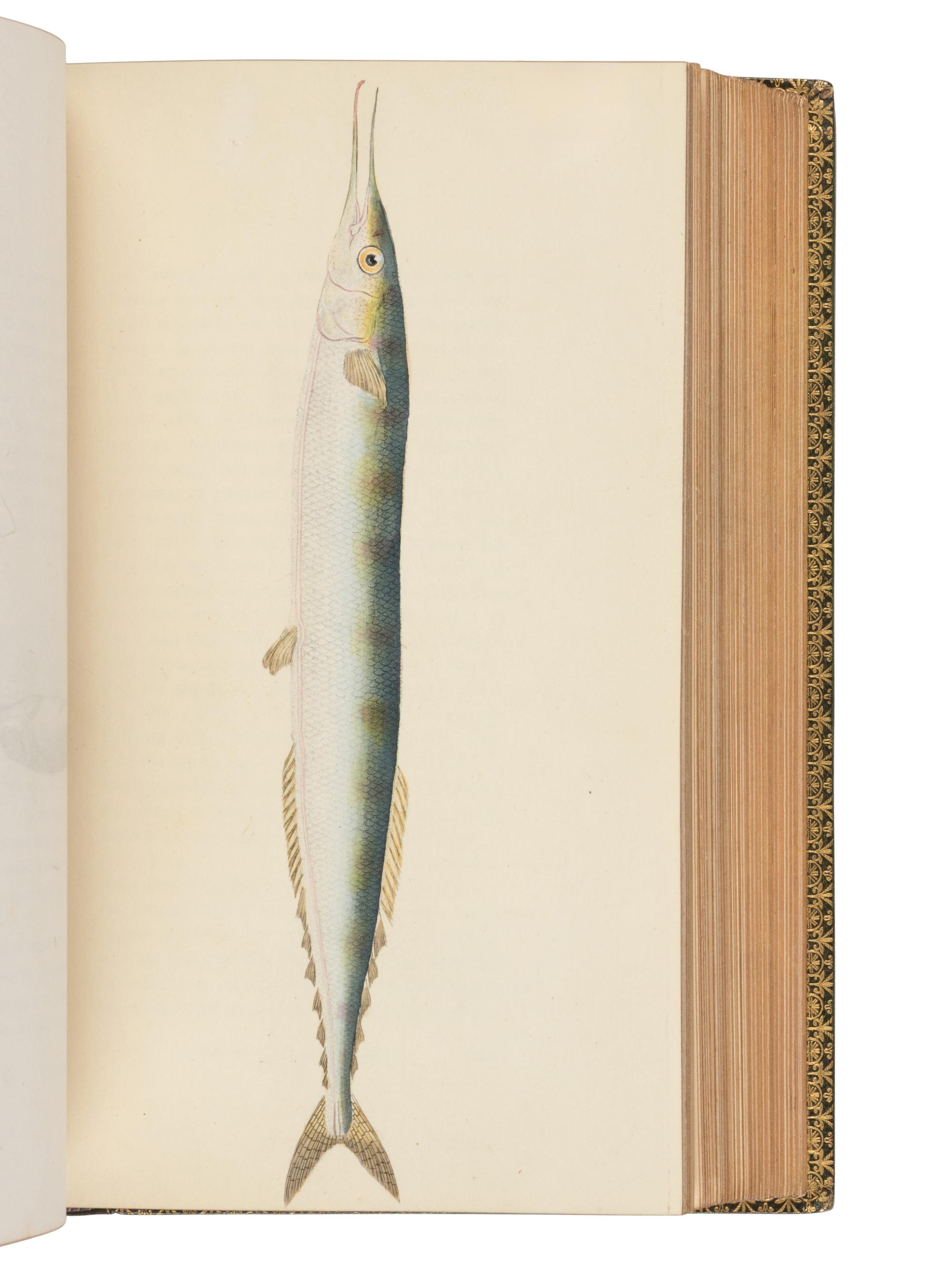 WALTON, Izaak (1593-1683) and Charles COTTON (1630-1687). The Complete Angler, or The Contemplative Man's Recreation . John Major, editor. London: D. Bogue and H. Wix, 1844.